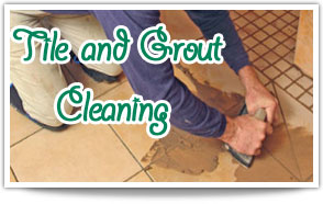 grout cleaners